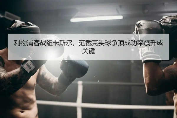 li-wu-pu-ke-zhan-niu-ka-si-er-fan-dai-ke-tou-qiu-zheng-ding-cheng-gong-lv-biao-sheng-cheng-guan-jian-2-743.jpg